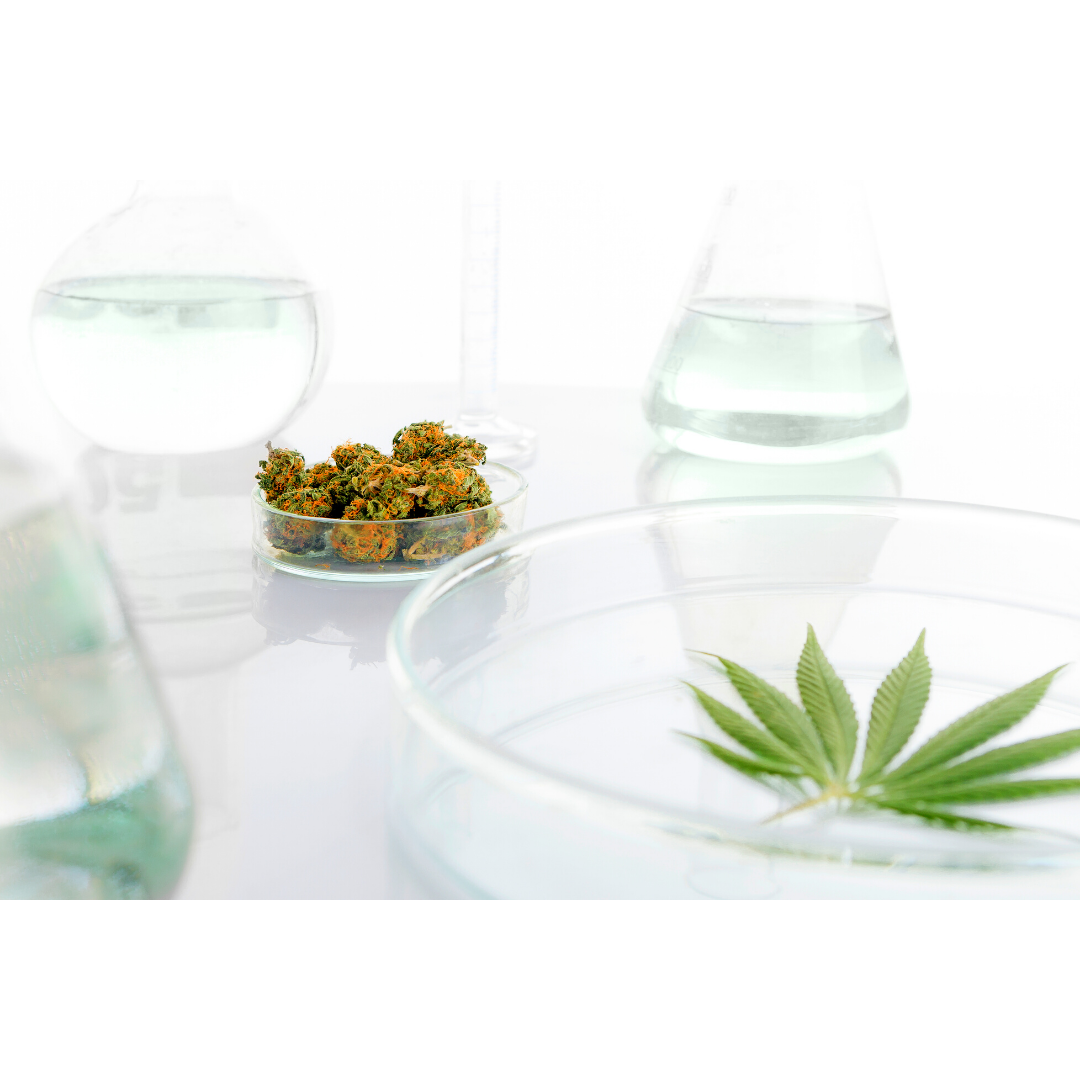 cannabis analytical testing