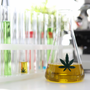 cannabis testing lab approved by maine omp