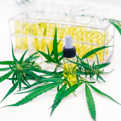 What You Need To Know About Cannabis Test Results | CATLAB