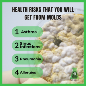 Cannabis Mold Testing Catlab, LLC