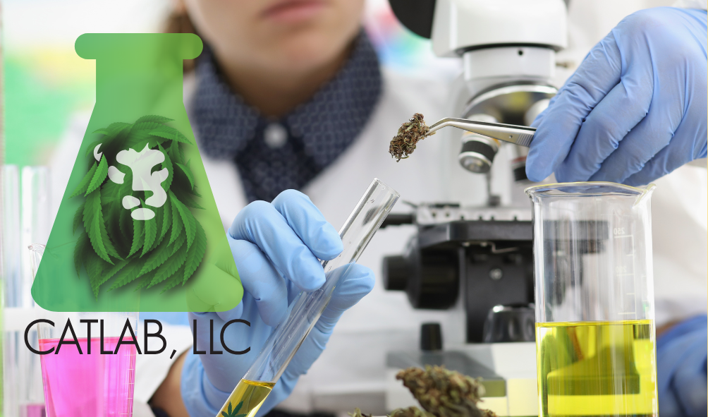 Investing in Safety The Role of Accredited Labs in Maine’s Cannabis Market