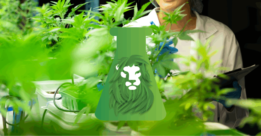 The Role of Pesticide Testing in Ensuring Safe Cannabis Products