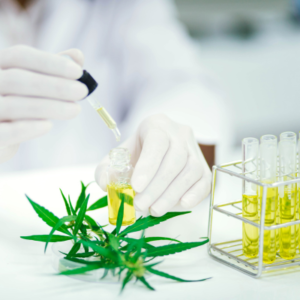 CATLAB, LLC plans to expand its testing categories